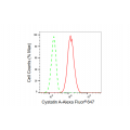 LifeSab™ CSTA Rabbit mAb (20 μl)
