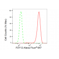 LifeSab™ P2Y12 Rabbit mAb (20 μl)