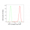 LifeSab™ P2Y12 Rabbit mAb (20 μl)