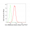 LifeSab™ VWF Rabbit mAb (20 μl)