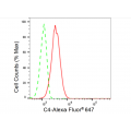 LifeSab™ C4 Rabbit mAb (20 μl)