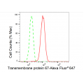 LifeSab™ TMEM67 Rabbit mAb (20 μl)