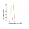 LifeSab™ FBL Rabbit mAb (20 μl)