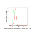 LifeSab™ DUSP1 Rabbit mAb (20 μl)