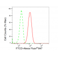 LifeSab™ FTCD Rabbit mAb (20 μl)