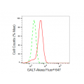 LifeSab™ GALT Rabbit mAb (20 μl)