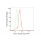 LifeSab™ GALT Rabbit mAb (20 μl)