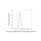 LifeSab™ Phospho-Histone H2A.X (S139) Rabbit mAb (20 μl)