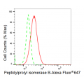 KD-Validated PPIB Rabbit mAb (20 μl)