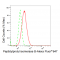 KD-Validated PPIB Rabbit mAb (20 μl)