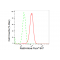 LifeSab™ KD-Validated Rab9 Rabbit mAb (20 μl)