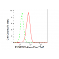 LifeSab™ KD-Validated EIF4EBP1 Rabbit mAb (20 μl)