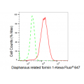 LifeSab™ KD-Validated DIAPH1 Rabbit mAb (20 μl)