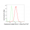KD-Validated DIAPH1 Rabbit mAb (20 μl)