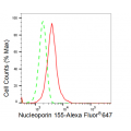 KD-ValidateNUP155 Rabbit mAb (20 μl)