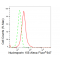 KD-ValidateNUP155 Rabbit mAb (20 μl)