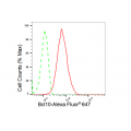 KD-Validated Bcl10 Rabbit mAb (20 μl)
