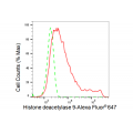 KD-Validated HDAC9 Rabbit mAb (20 μl)