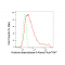 KD-Validated HDAC9 Rabbit mAb (20 μl)