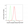KD-Validated INSR Rabbit mAb (20 μl)