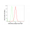 KD-Validated PRKDC Rabbit mAb (20 μl)
