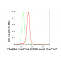 LifeSab™ KD-Validated Phospho-PRKDC (S2056) Rabbit mAb (20 μl)