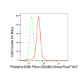 KD-Validated Phospho-PRKDC (S2056) Rabbit mAb (20 μl)