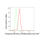KD-Validated Phospho-PRKDC (S2056) Rabbit mAb (20 μl)