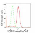 LifeSab™ KD-Validated RPS6KA1 Rabbit mAb (20 μl)