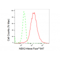 LifeSab™ KD-Validated NEK2 Rabbit mAb (20 μl)