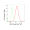 KD-Validated NEK2 Rabbit mAb (20 μl)