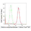 KD-Validated HAT1 Rabbit mAb (20 μl)