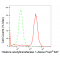 KD-Validated HAT1 Rabbit mAb (20 μl)