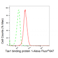KD-Validated TAX1BP1 Rabbit mAb (20 μl)