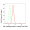 KD-Validated TAX1BP1 Rabbit mAb (20 μl)