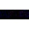 KD-Validated TAX1BP1 Rabbit mAb (20 μl)