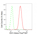 KD-Validated IDH1 Rabbit mAb (20 μl)