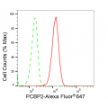 LifeSab™ KD-Validated PCBP2 Rabbit mAb (20 μl)
