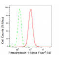 KD-Validated PRDX1 Rabbit mAb (20 μl)