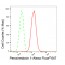 KD-Validated PRDX1 Rabbit mAb (20 μl)