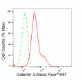 LifeSab™ KD-Validated GAL3 Rabbit mAb (20 μl)