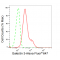 KD-Validated GAL3 Rabbit mAb (20 μl)