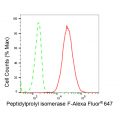 KD-Validated PPIF Rabbit mAb (20 μl)