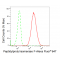 KD-Validated PPIF Rabbit mAb (20 μl)