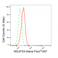 KD-Validated NDUFS3 Rabbit mAb (20 μl)