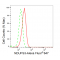 KD-Validated NDUFS3 Rabbit mAb (20 μl)