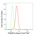 KD-Validated PSMB10 Rabbit mAb (20 μl)
