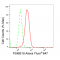 KD-Validated PSMB10 Rabbit mAb (20 μl)