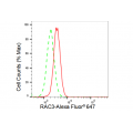 LifeSab™ KD-Validated RAC3 Rabbit mAb (20 μl)