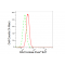 KD-Validated RAC3 Rabbit mAb (20 μl)